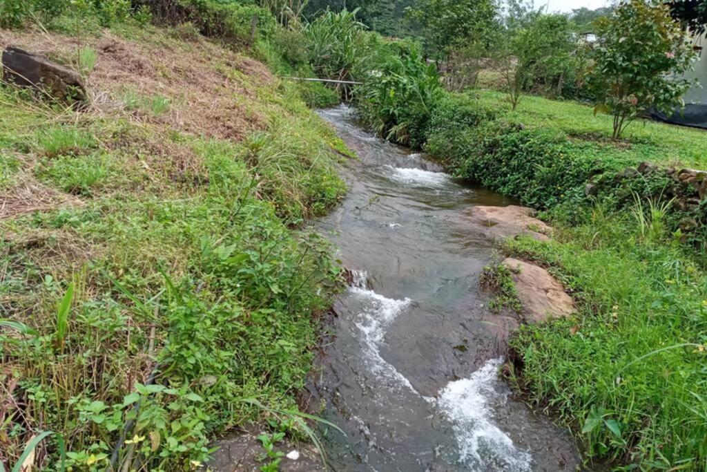 Farmstay In ചില്ലുകൂടാരം At Les Domki Et Al. Вагамон Экстерьер фото