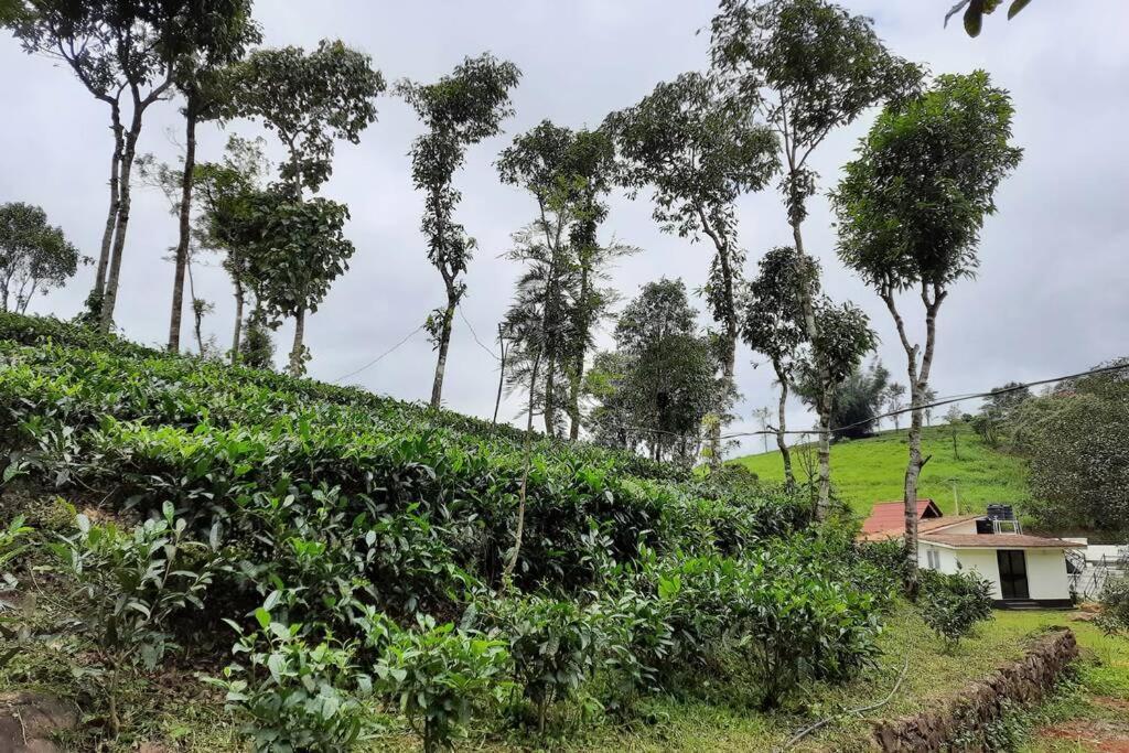 Farmstay In ചില്ലുകൂടാരം At Les Domki Et Al. Вагамон Экстерьер фото